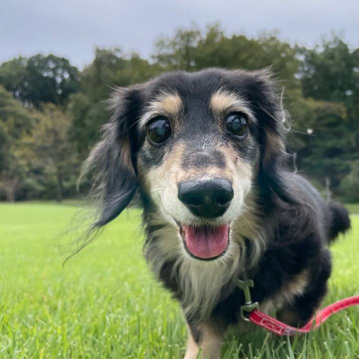 4725358f 1fb7 4153 aa32 277284760bd1 1696304292858