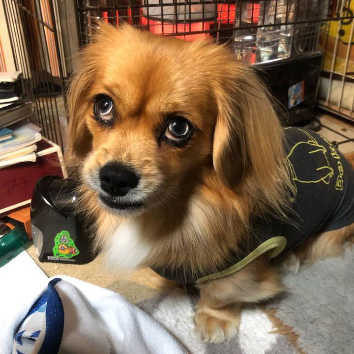 47254167 a363 473a bf44 ade41f3767cd 1544858852491