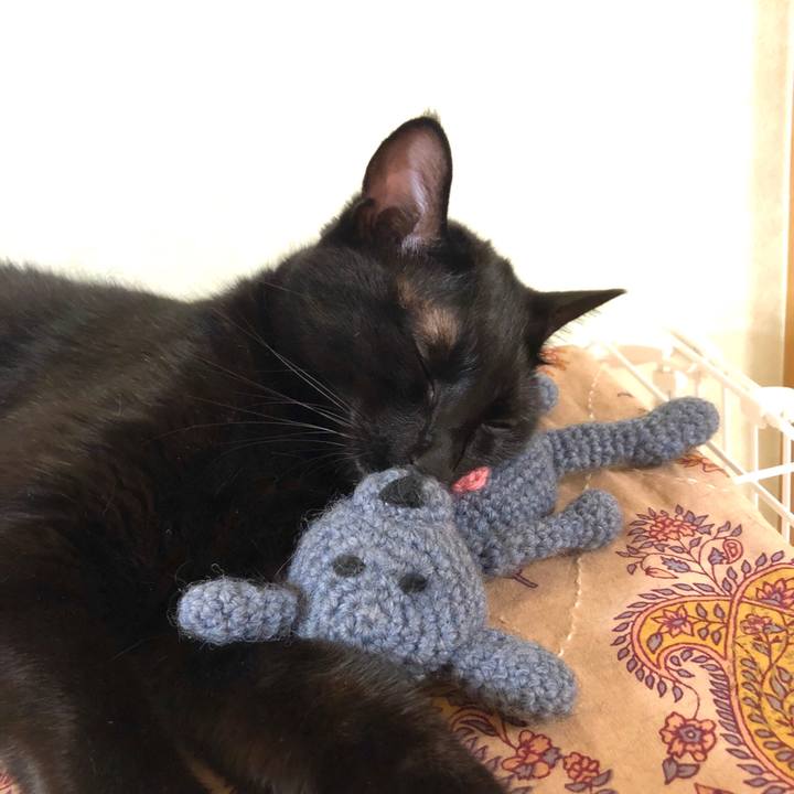 47254856 0fc0 4211 af79 05bcff0fe70a 1538920874320