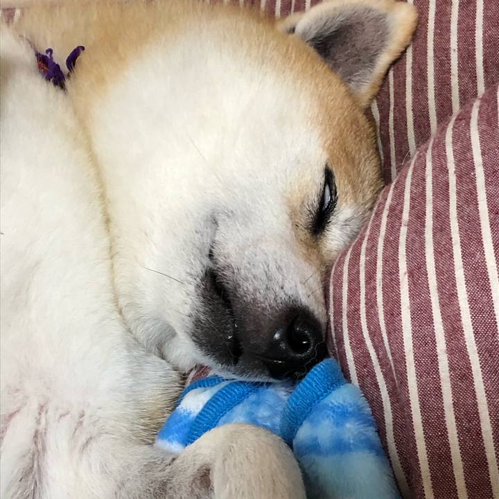 472550d7 2297 4b55 8e92 aadbd837049e 1571796365884