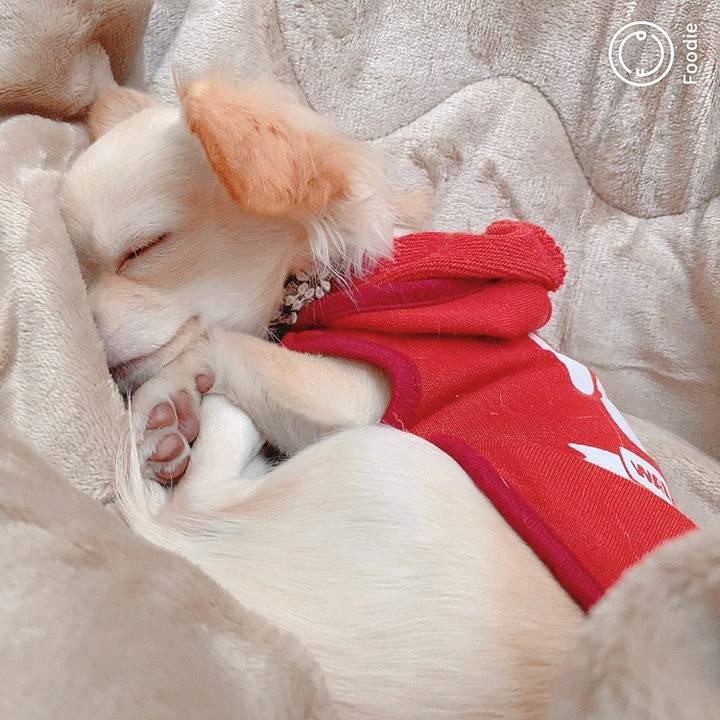 4725833f 2698 4fc1 98e7 64b0c497453b 1606192053007