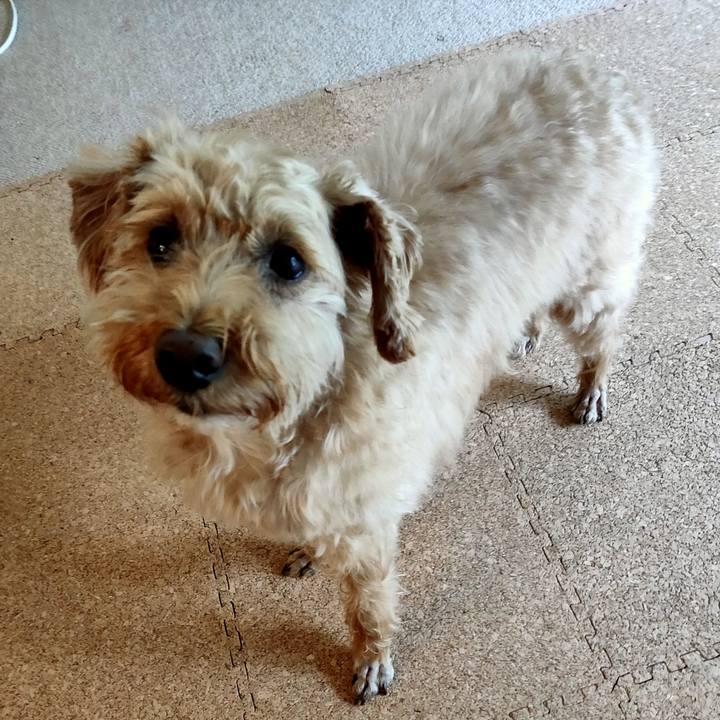 47259b4e e831 4758 a824 55c46100229b 1592259877981