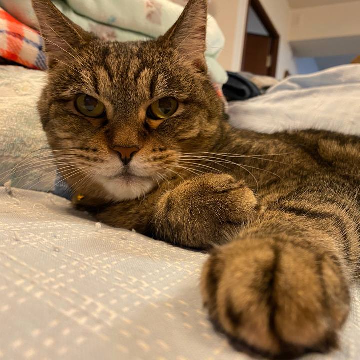 4725cce7 9bc0 44a9 bb0f 9a54e0979f81 1727565054423