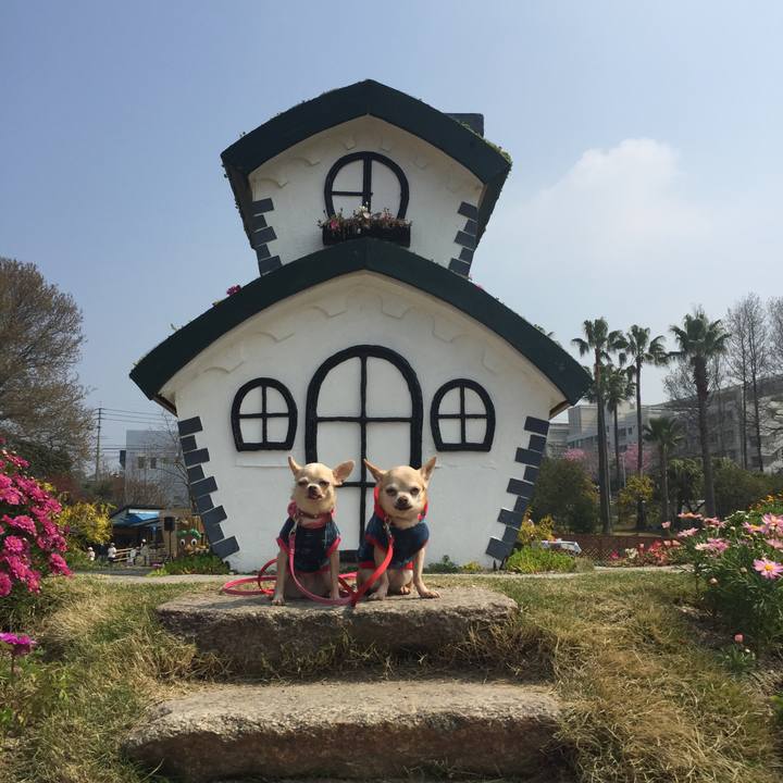 4725d42a 4c2b 4029 97ad 0882caf3e831 1521947914008