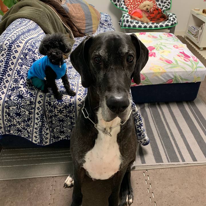 4725f3f6 12be 4077 ae2a de17f43f9e16 1547506411625