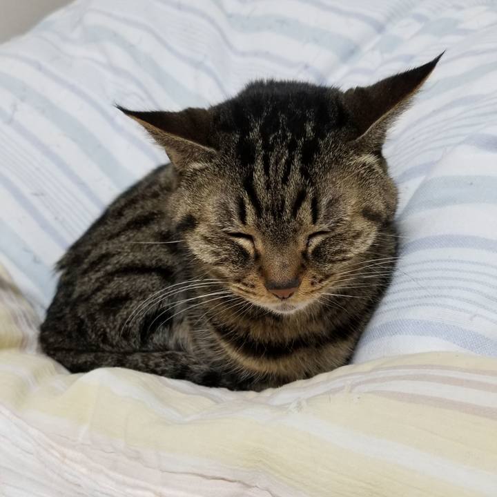 47263981 5f85 4aaf 8aa0 4a0123a689a6 1608585975451