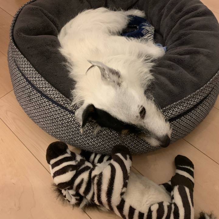 472642bc 8997 4efe 8871 bfc7ea429392 1689687514227