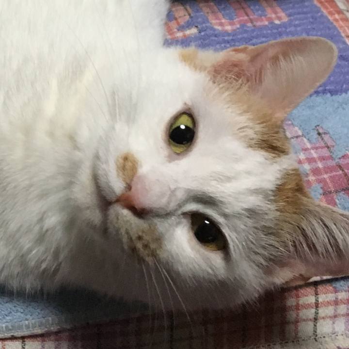 4726724e d5ba 448a b749 94c30aaad661 1516724033261