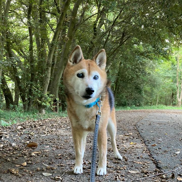 47269d12 54b3 4005 ba81 13e23955b861 1760760763474