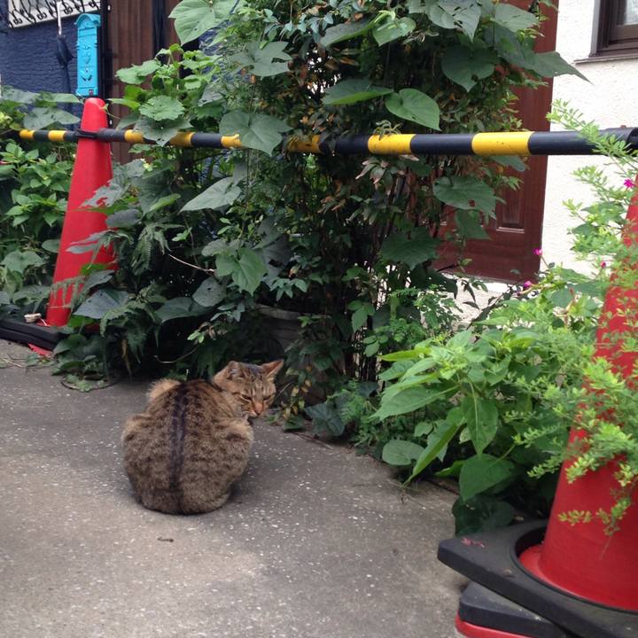 4726bcd7 6d82 4059 b277 06ef843a19dd 1508851052907