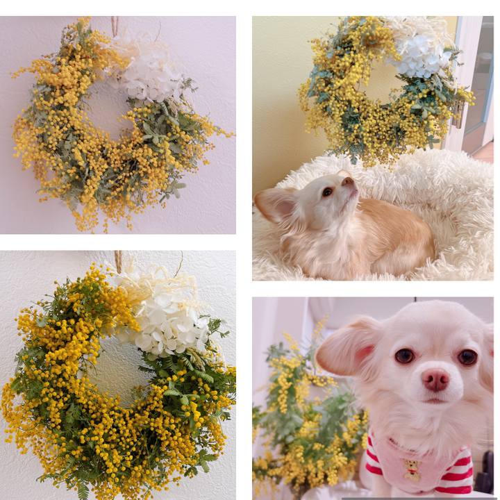 4726cb71 170d 48fb 9c0a 11876f871b08 1678523683976