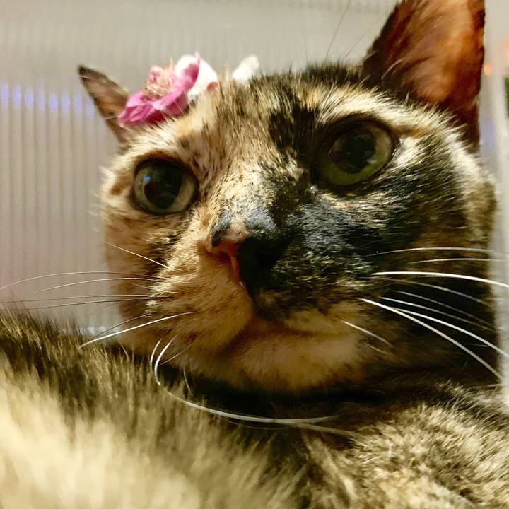 472750ba eb70 4c68 bcf6 d16a389ae1d2 1552063989203