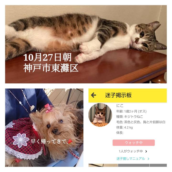 47277379 85fc 4eb0 b752 938197dcfb40 1635690711869