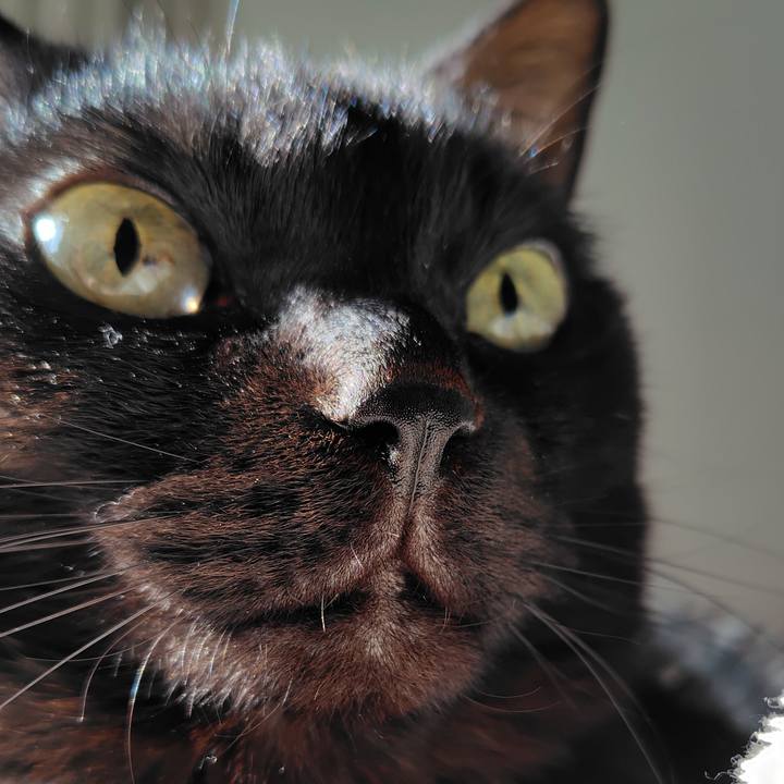 4727d3ee 0db2 41e0 84d5 ae7fd49aebe0 1769825853110