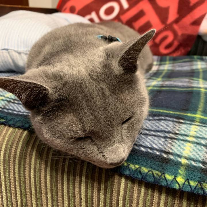 47281edc 7faf 4f2b 8a15 a6183966c2a2 1587503261643