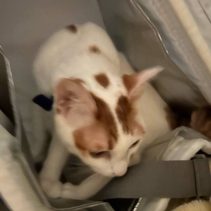 47287744 cbda 4acc a901 d667d062a19e 1761207952668