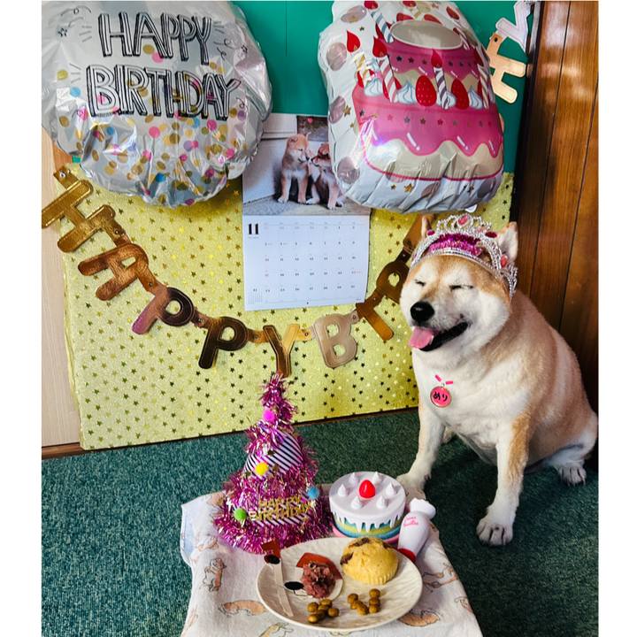 4728b28a 7c53 4ad8 8f65 12d90fe36df0 1731251284349