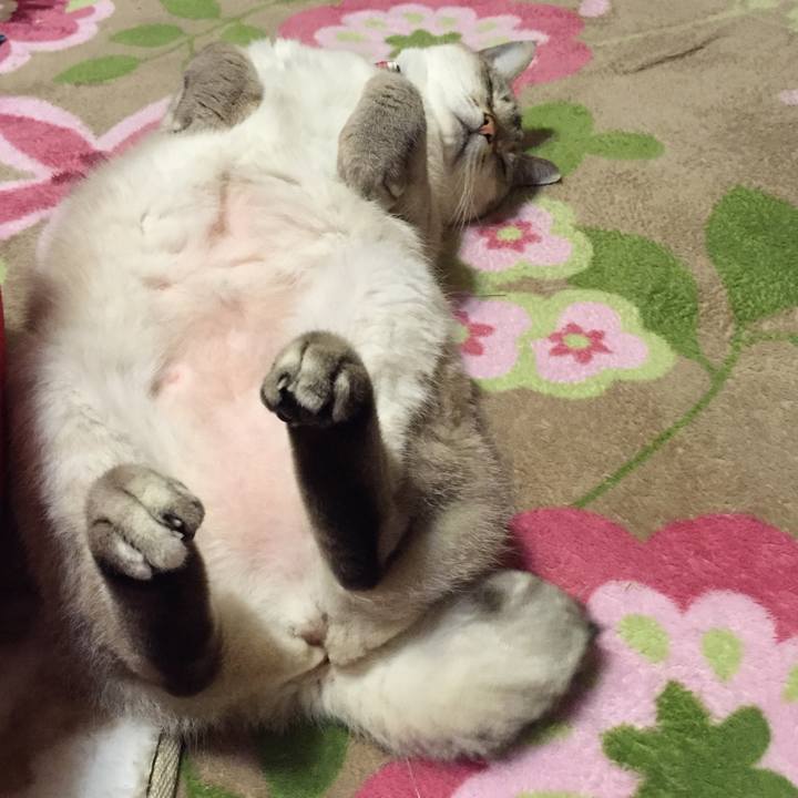 4728c767 3bc5 4a0b 97ac 021c751101a5 1515497449994