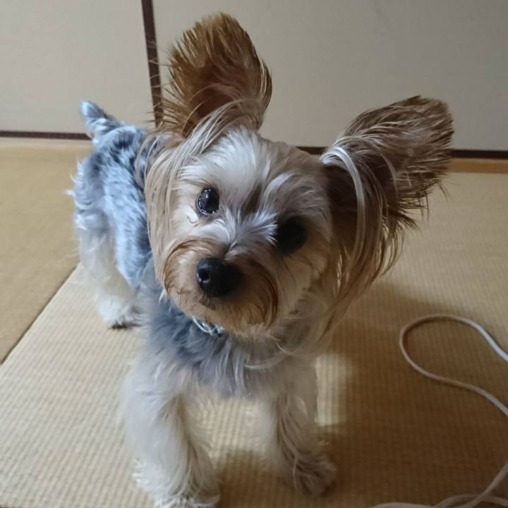 472915af 81bd 4862 8093 f6d23d78181f 1535015175395