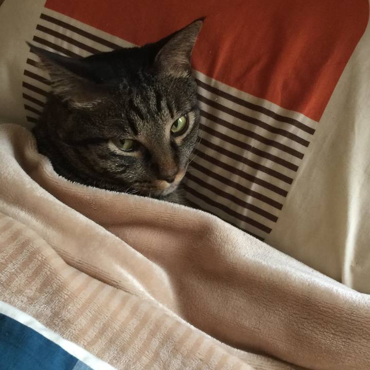 47292d17 0a4c 49a3 9e18 9c73bdcd1f0b 1587728763210