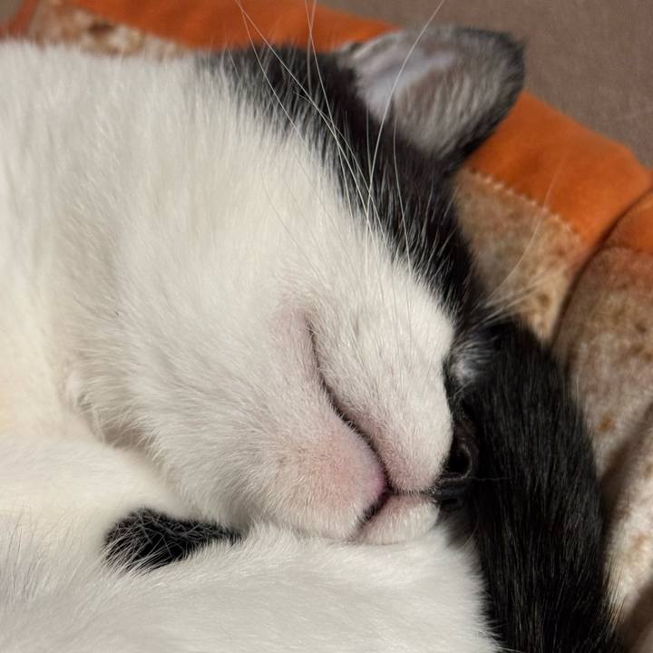 47293104 0d8e 43ce 9b4e 6eb194c3d12d 1765057948374