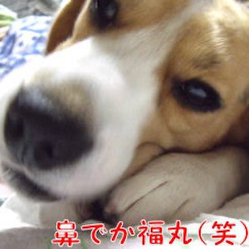 47293424 4de5 49b3 ab05 d1024dbf7f4f 1710979915026