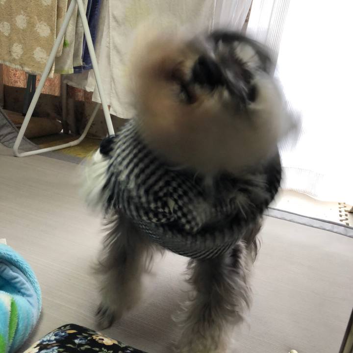 4729940b 7451 4b35 a682 560b1e3b4edc 1581339214604