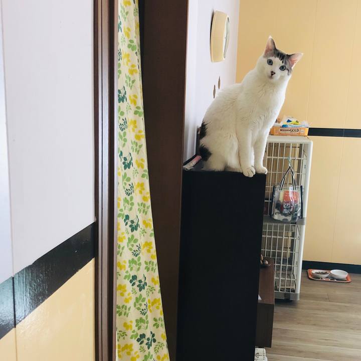 4729972f 35b7 4d16 98d1 d611b5ed9204 1582878043532