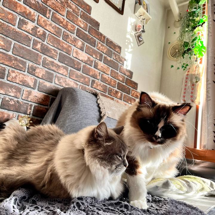 4729df46 9843 4b7d a509 010369badc9f 1675421334971