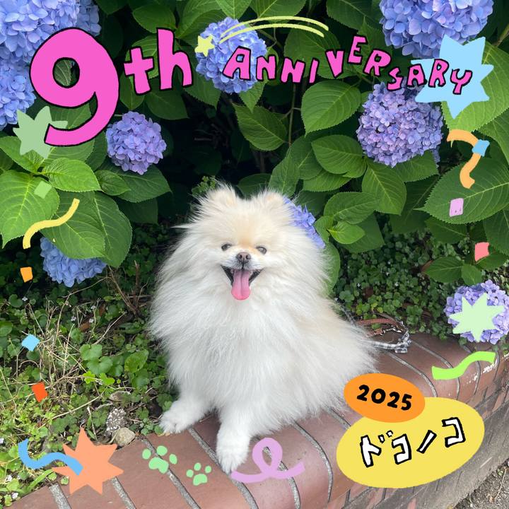 4729e153 d61c 4cbb 84ea 223295b78ac7 1749092004479