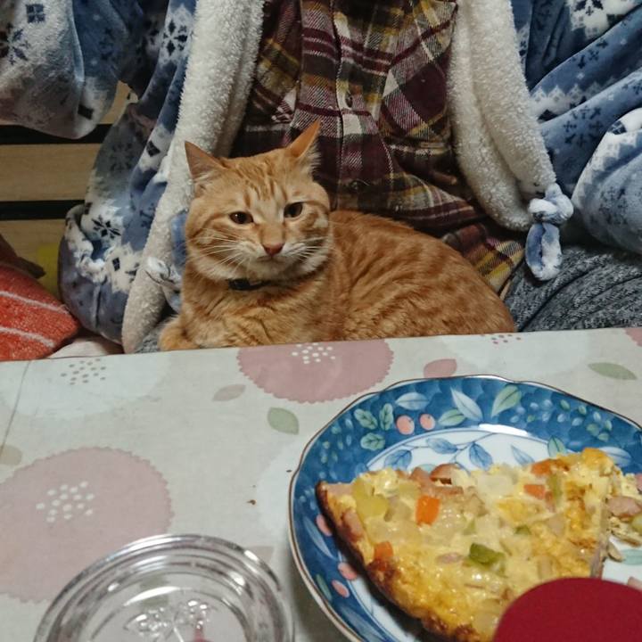 4729f451 5796 4357 86cf 069cbb0c5426 1645442541275