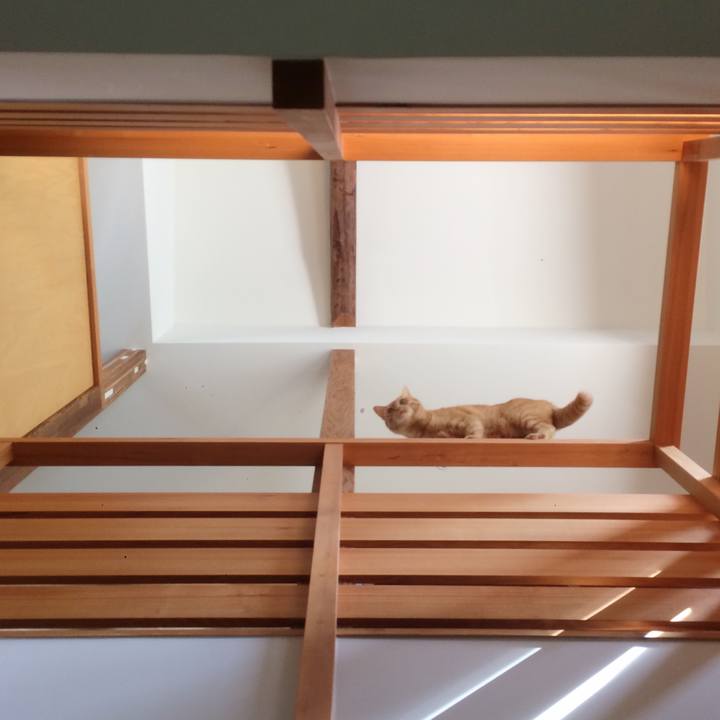 472a0625 8f56 4a7a ba41 0962d850a661 1587860239092