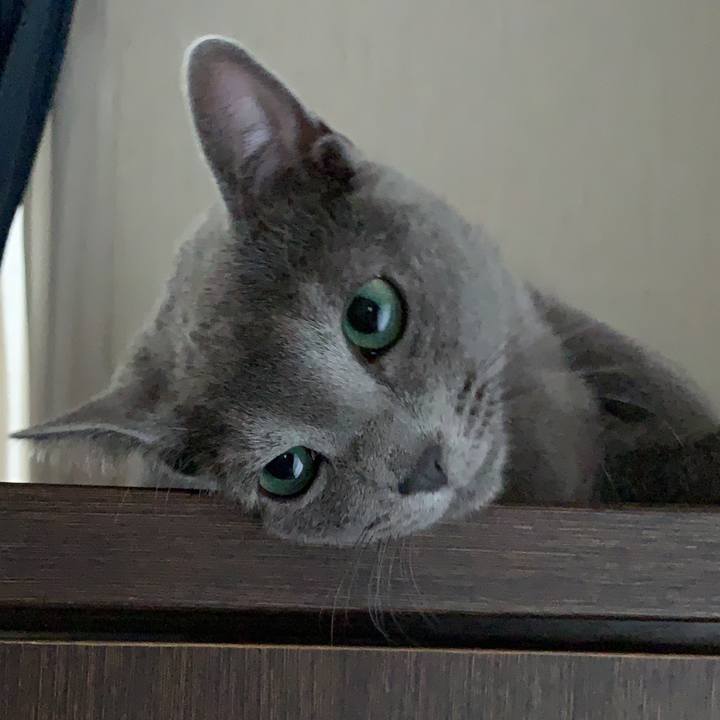 472a080b db81 4a73 95c0 e453ec0986e6 1577666928146