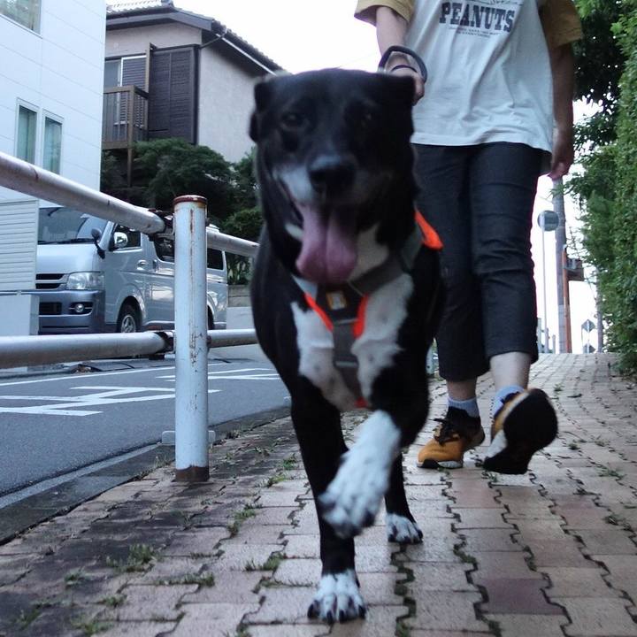 472a4585 f1ff 45fe bed6 737a7ee1343c 1719659160775