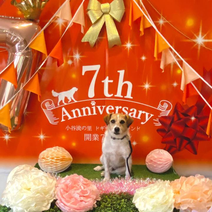 472a6794 5e7f 4e61 a2e2 371b492b9f64 1650889396871