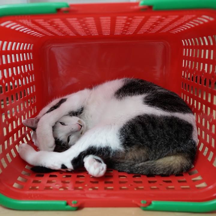 472a68a3 4052 484e a047 18b60b1c950a 1559351543960