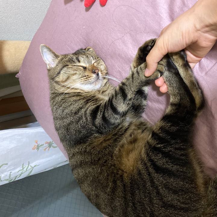 472a91e2 a99f 45b6 a5b2 93a93ebae964 1591846805246