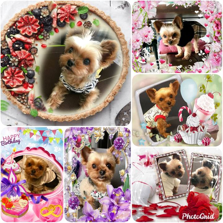 472aa300 f583 4115 96cb 3a3104c381b2 1584050558745