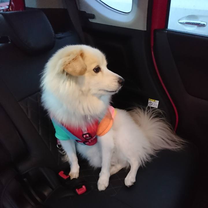 472ad7fb 1942 4f5c 8c4e a9bb4177eb20 1509176917246