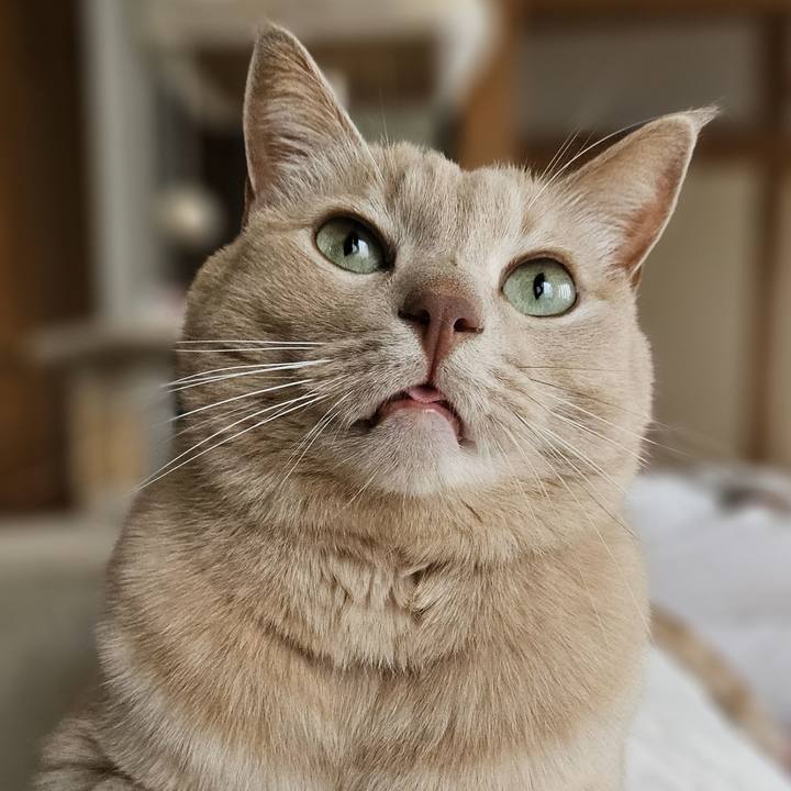 472b0620 b604 4515 b543 8f55e039d8dd 1761363296514