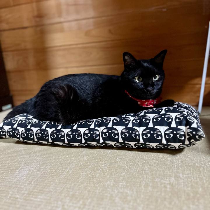 472b54fd 1ff2 47a2 a51e b65059a23c1b 1693229947347