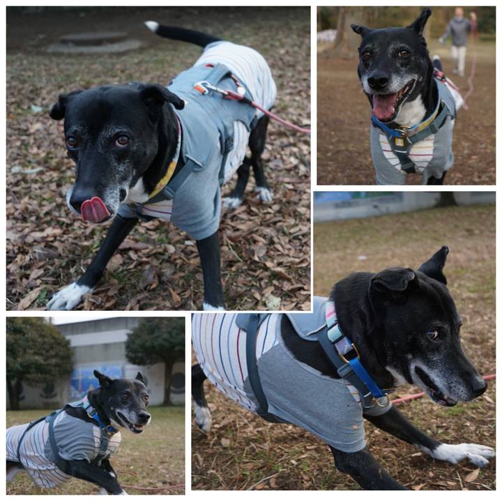 472b7106 c747 4a71 99c1 13ef432f1826 1768784114788