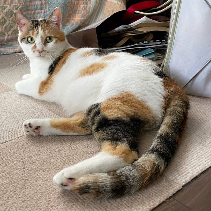 472b8720 addc 4236 8b73 0bb1d853c93b 1661297580219