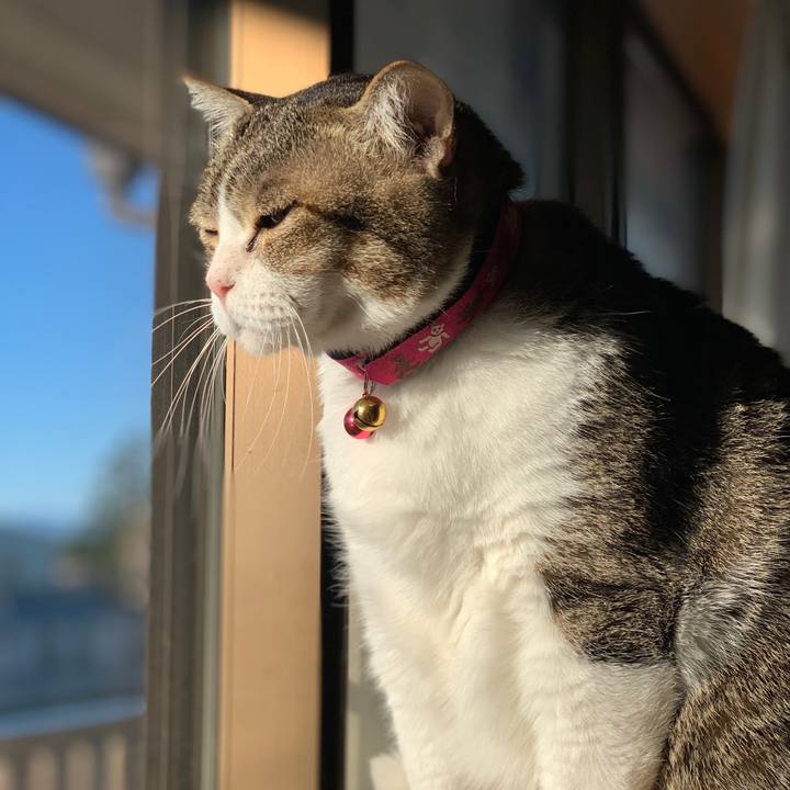 472b8c5c 6393 4de3 a429 f4d32aa162bf 1636765241370