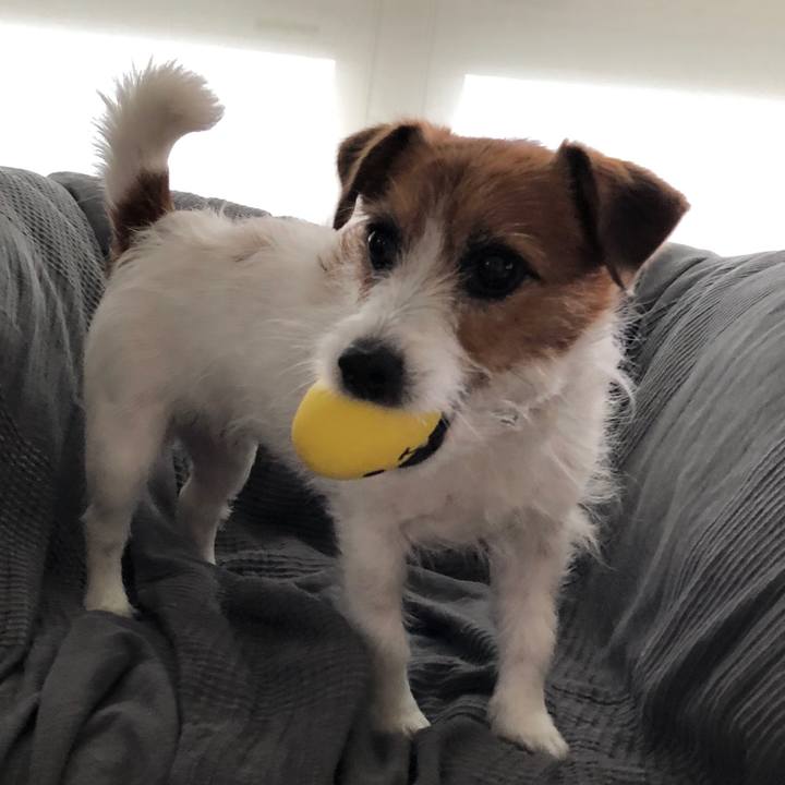 472ba4de 35a0 4dc8 8639 d6cc8387d59e 1604592470710