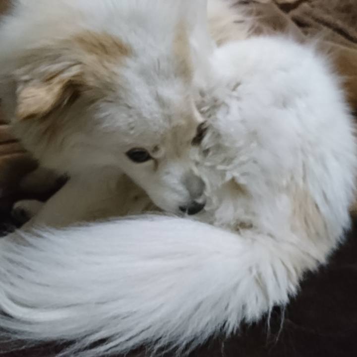 472bc826 e744 468f aebc cef0571f0491 1524859663084