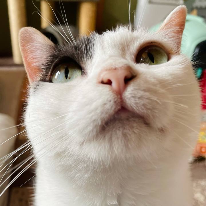 472bcea6 e9d5 42cc 8286 2f09db0679e4 1626140206578