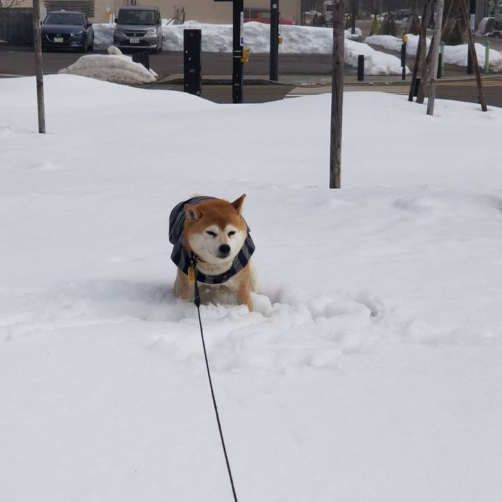 472bf444 e907 4bfc 889f 168c6cdd4cea 1611548431955