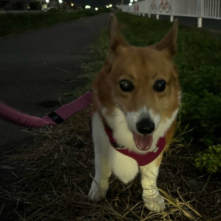 472c36d7 1f06 4840 8416 668f77b97f8f 1726565895100