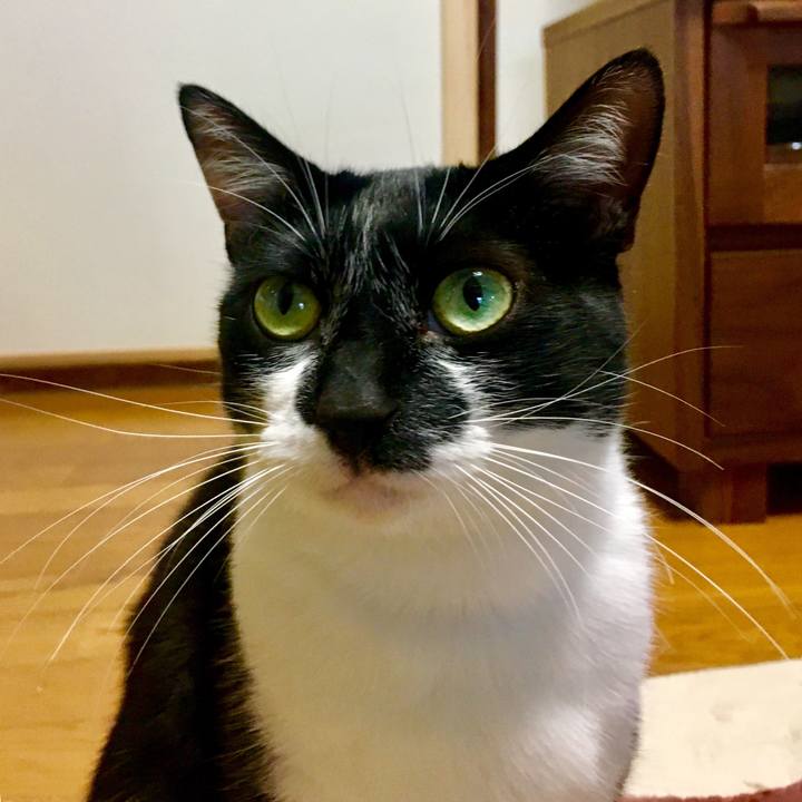 472c4744 f166 4395 b606 84fab4f46e0c 1512285012728